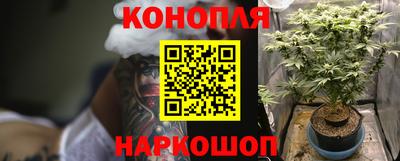 эйфоретик Гусиноозёрск