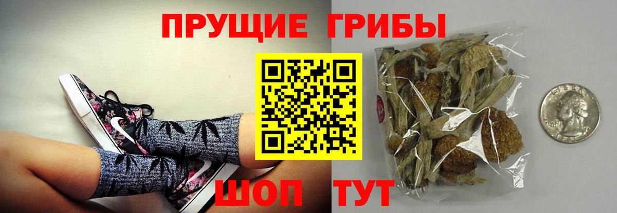 Галлюциногенные грибы мухоморы Минеральные Воды