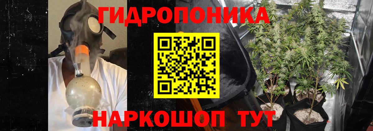 Канабис OG Kush Минеральные Воды